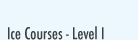 Ice Climbing - Level 1